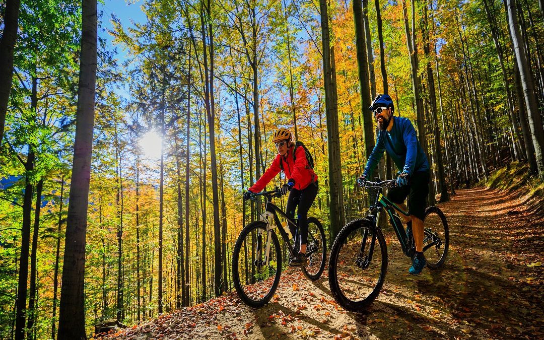 ‘Bando Itinerari’ Lombardia un successo, domande per oltre 60 milioni – www.lombardianotizie.online