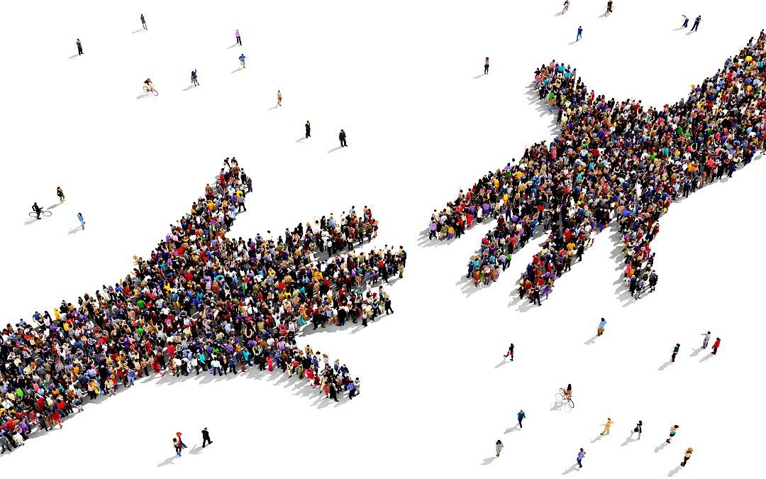 Anffas Abbiategrasso e Avis Bareggio simboli della cultura del volontariato – Lombardia Notizie Online – www.lombardianotizie.online