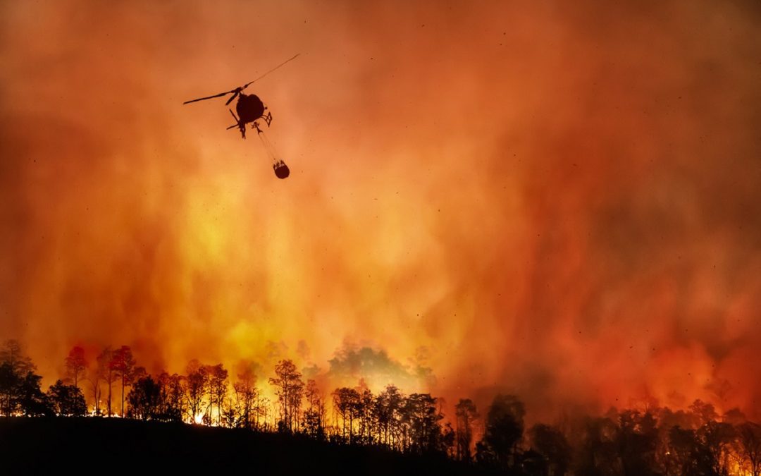 Incendi boschivi, da Regione Lombardia 2,2 milioni per prevenirli – www.lombardianotizie.online