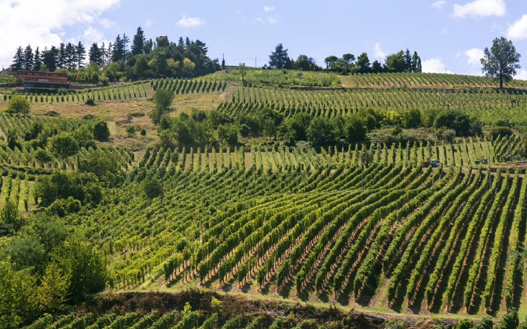 Pavia, Accordo Quadro Sviluppo territoriale per renderla smart land verde – www.lombardianotizie.online