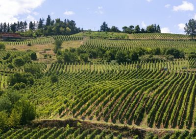 Pavia, Accordo Quadro Sviluppo territoriale per renderla smart land verde – www.lombardianotizie.online