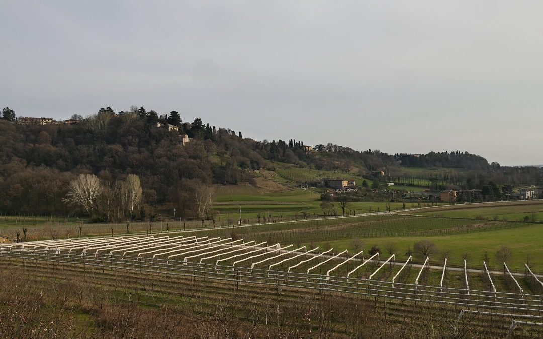 Ampliamento Parco Colli Bergamo, verso maggiore tutela per il territorio – www.lombardianotizie.online