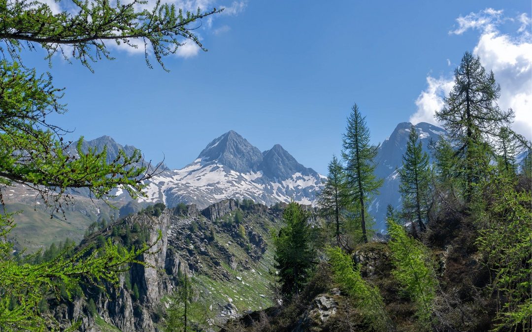 disponibili oltre 14 milioni di euro – www.lombardianotizie.online