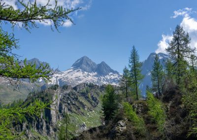 disponibili oltre 14 milioni di euro – www.lombardianotizie.online