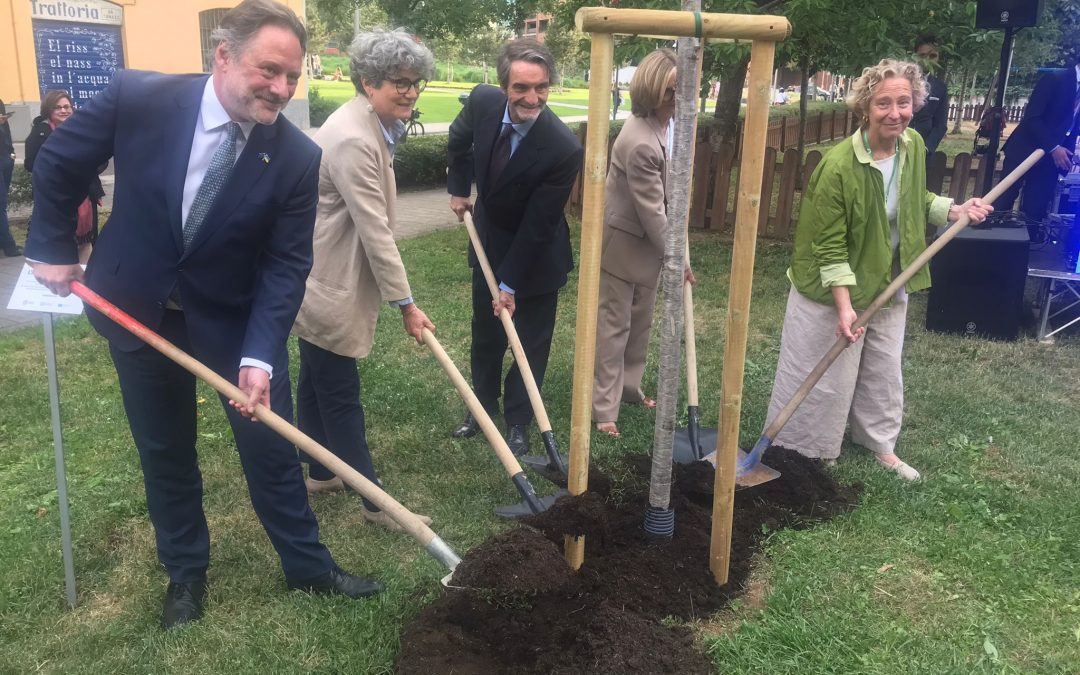 A Milano piantato ciliegio simbolo dei valori e della solidarietà europea – www.lombardianotizie.online