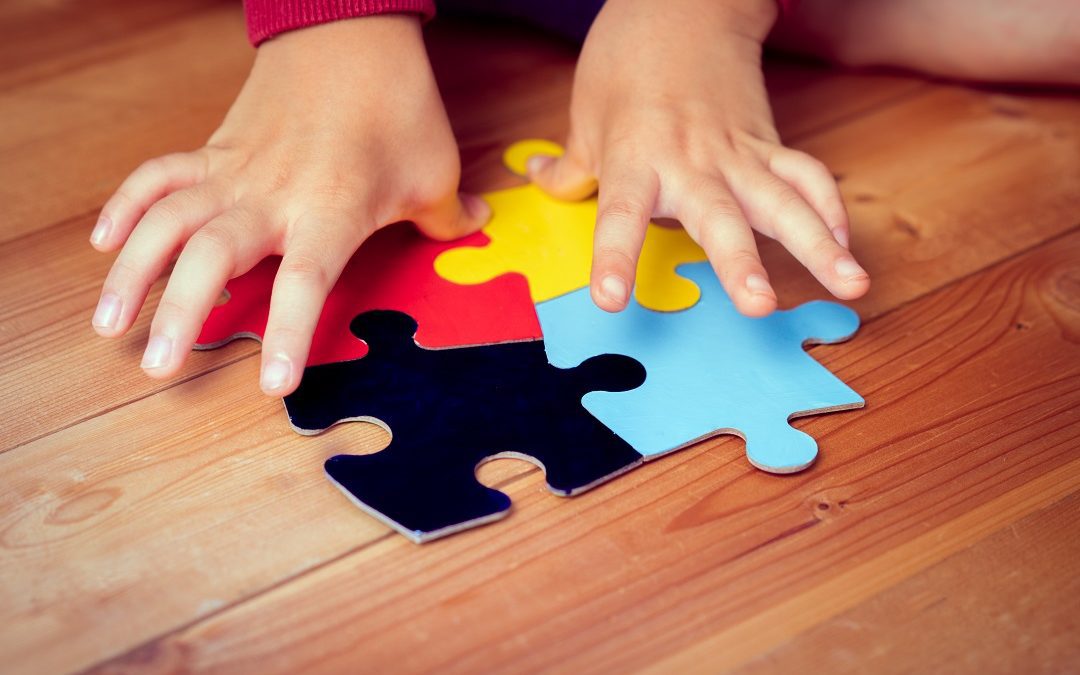 ‘TerraLuna’, a Gallarate/VA un Centro Autismo nell’ex scuola Bonomelli – www.lombardianotizie.online