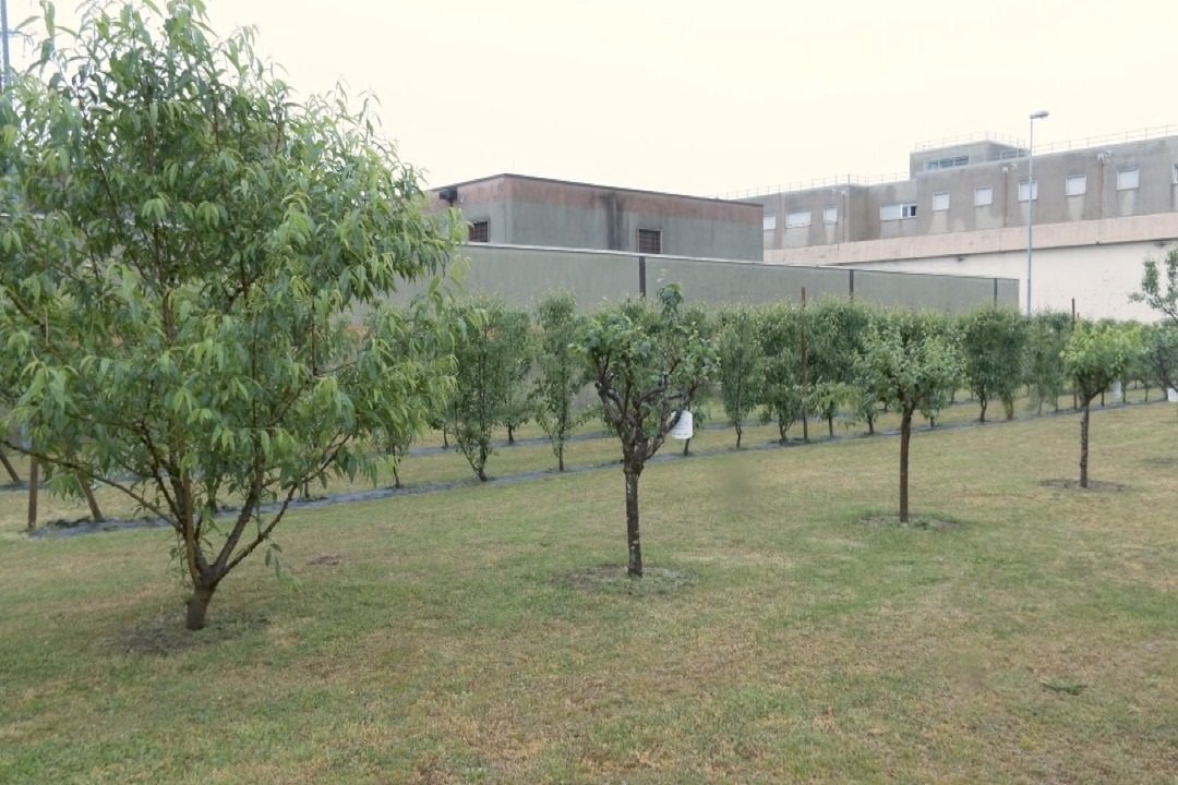 frutteto-Monza.jpg