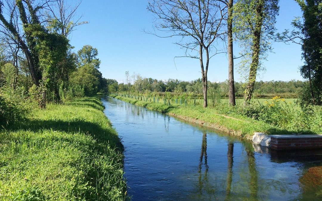 Parco Groane e Parco Pineta, da Regione fondi per controlli anche di notte – www.lombardianotizie.online