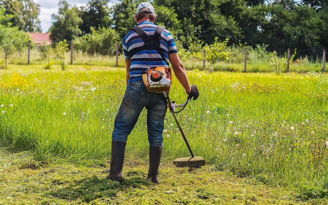 guida sfalci per uso agricolo – www.lombardianotizie.online