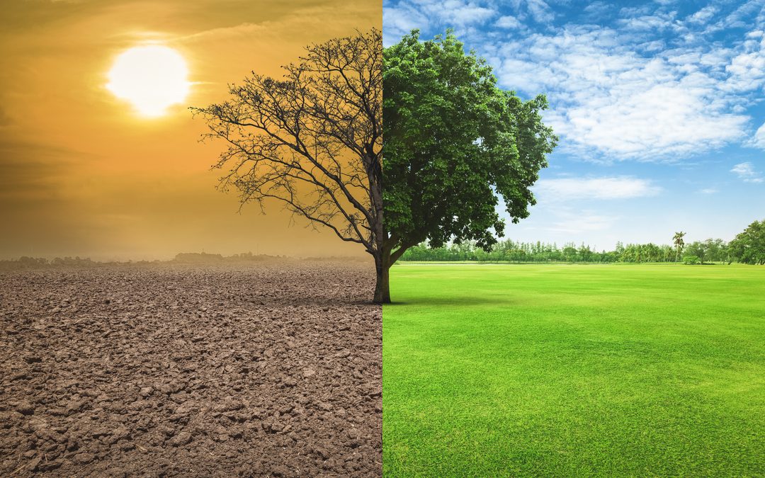 Regions4,Cattaneo:Lombardia vicepresidente, cresce network sostenibilità – www.lombardianotizie.online