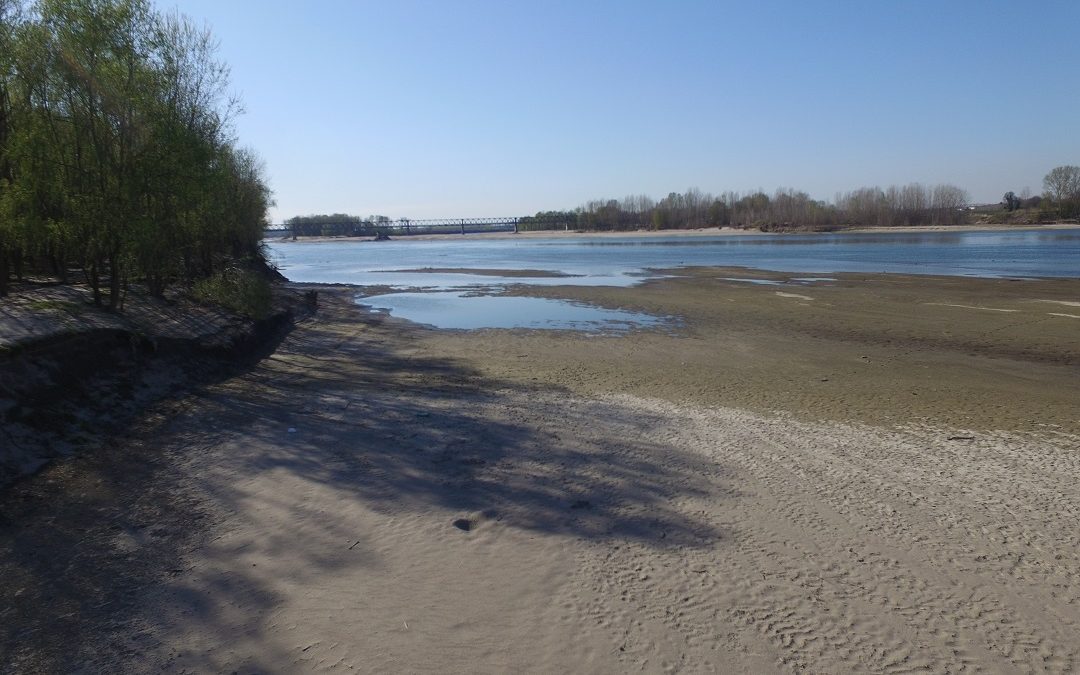 Severità idrica alta, la Lombardia al lavoro per salvare il primo raccolto – www.lombardianotizie.online