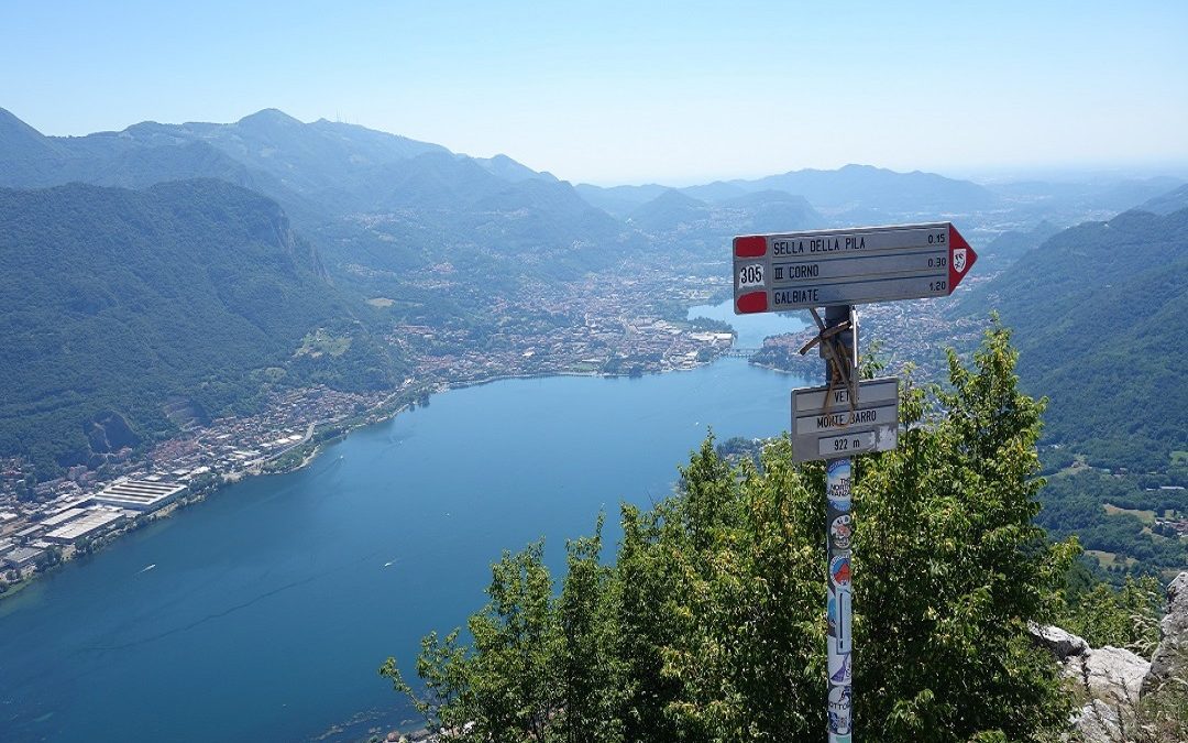 Osservatorio Biodiversità Monte Barro, fondi a Centro Flora autoctona – www.lombardianotizie.online