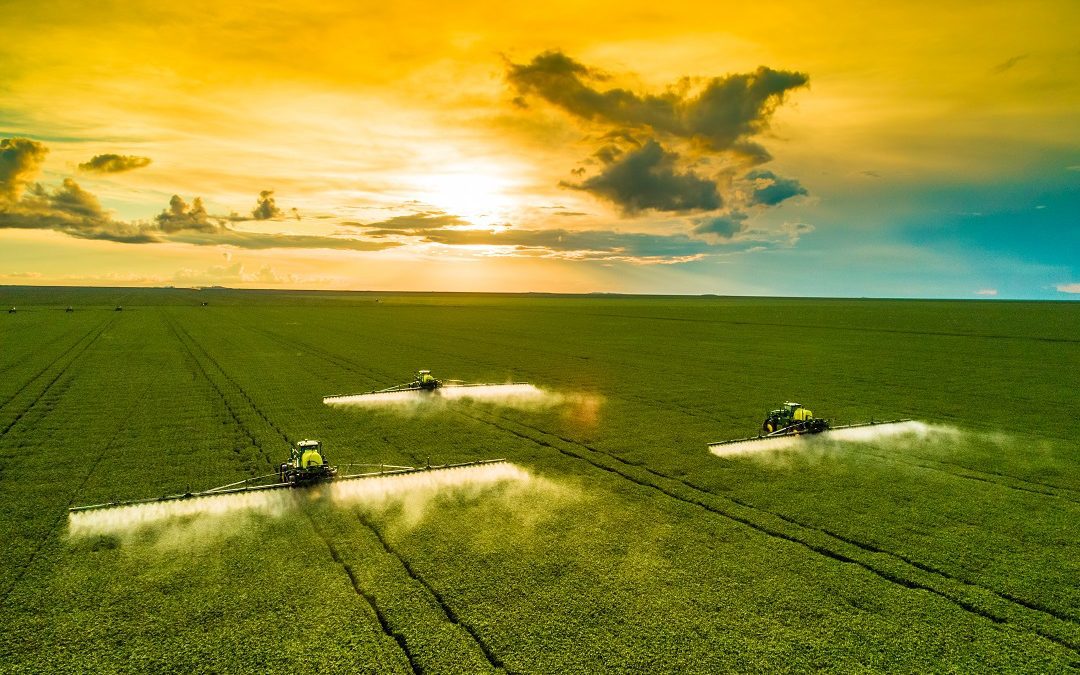 Bando da 5 milioni per ridurre emissioni delle attività agricole – www.lombardianotizie.online