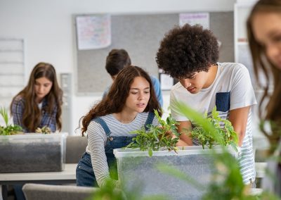 Al via il secondo bando sull’educazione ambientale in Lombardia – www.lombardianotizie.online