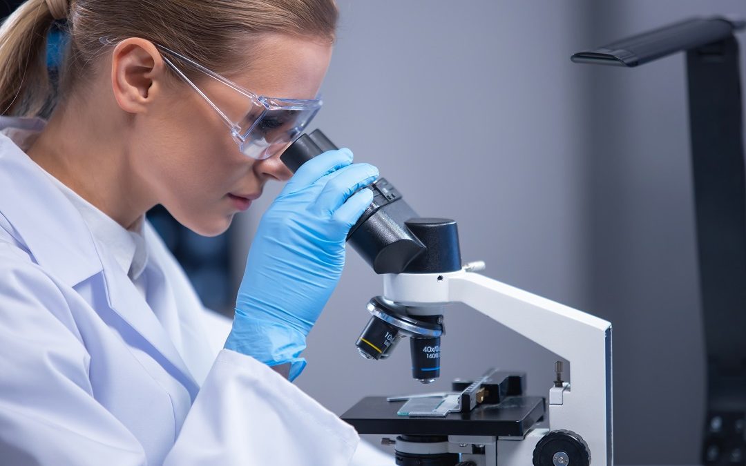 Regione stanzia 27,6 milioni per la Fondazione Ricerca Biomedica – www.lombardianotizie.online
