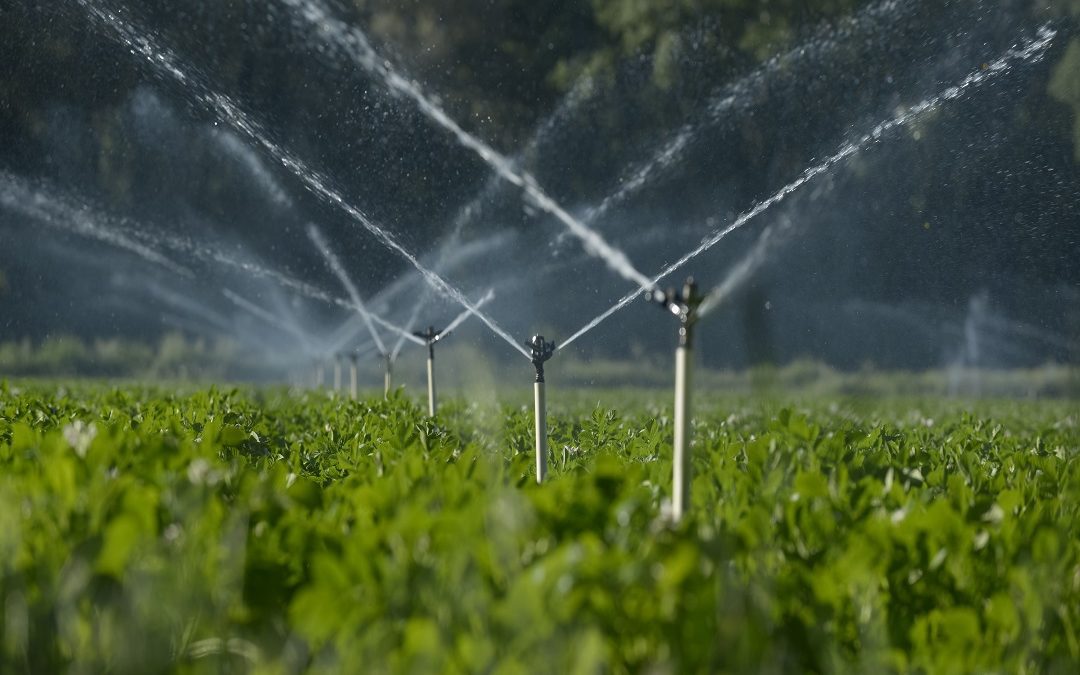Siccità, Pnrr per meccanizzazione agricola vada a irrigazioni innovative – www.lombardianotizie.online