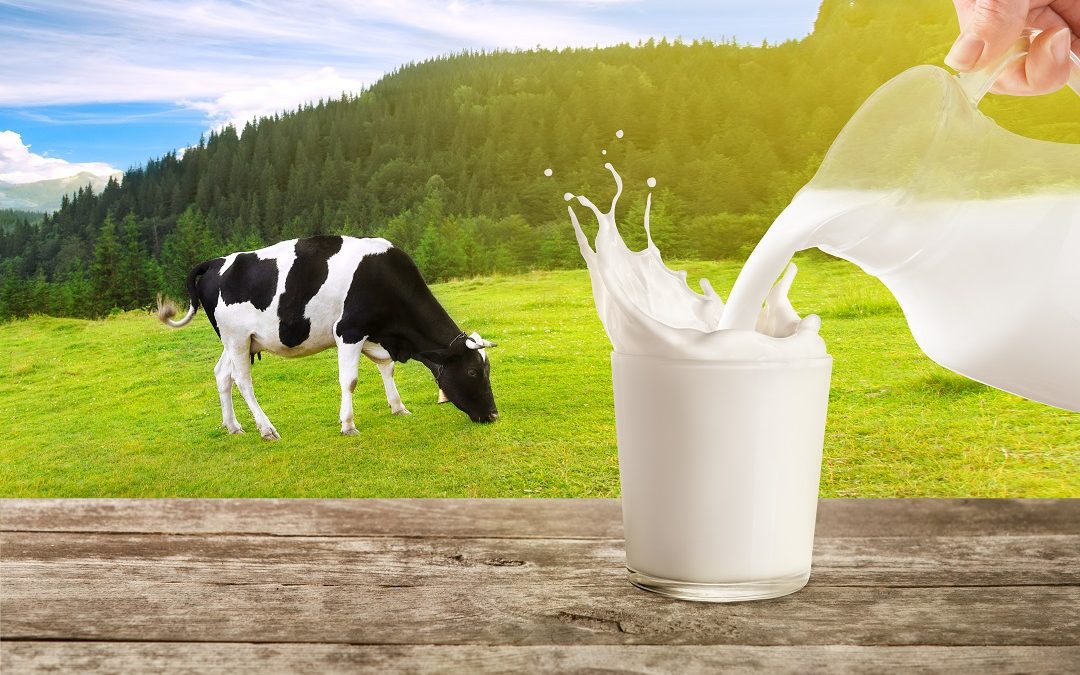 Giornata mondiale latte 2022, Lombardia: difendere imprese e produzione – www.lombardianotizie.online