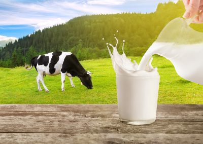 Giornata mondiale latte 2022, Lombardia: difendere imprese e produzione – www.lombardianotizie.online