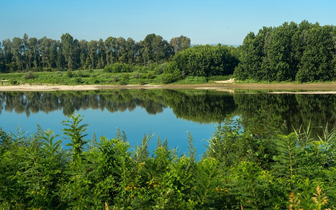 Aipo, assessore Foroni nuovo presidente: collaborazione e unità d’intenti – www.lombardianotizie.online