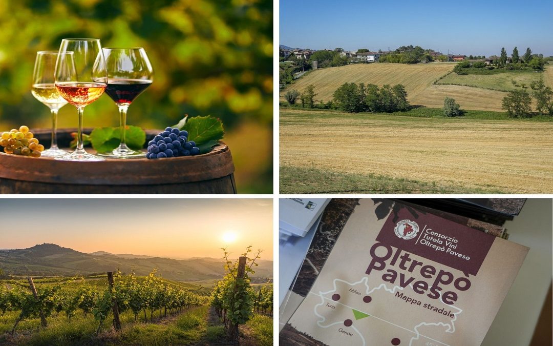 30 consoli alla scoperta vini di qualità e cantine storiche – www.lombardianotizie.online