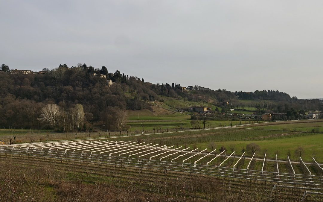 Parco Colli Bergamo, via libera da Regione Lombardia all’ampliamento – www.lombardianotizie.online
