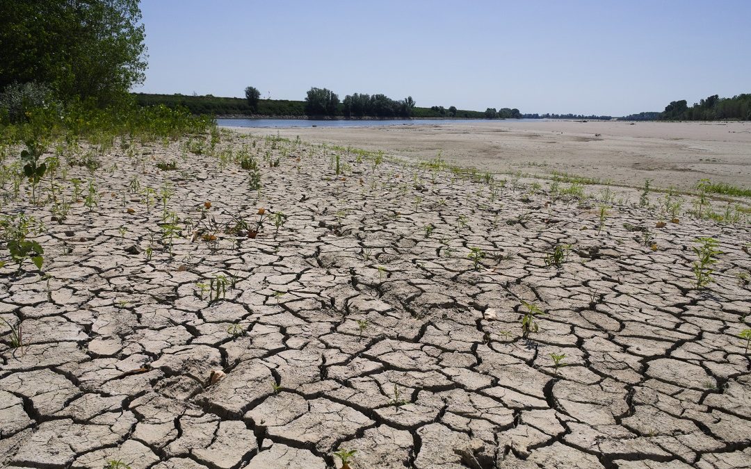 Siccità Lombardia critica, Fontana e Sertori: prospettive serie agricoltura – www.lombardianotizie.online