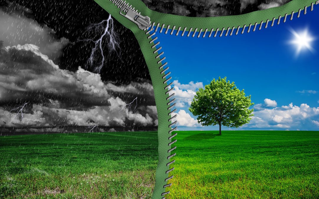 Regione sostiene transizione ecologica e digitale – www.lombardianotizie.online