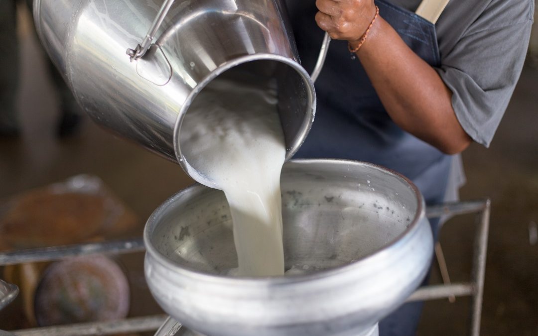 Accordo prezzo latte Lombardia, Rolfi: bene, ma rivederne determinazione – www.lombardianotizie.online