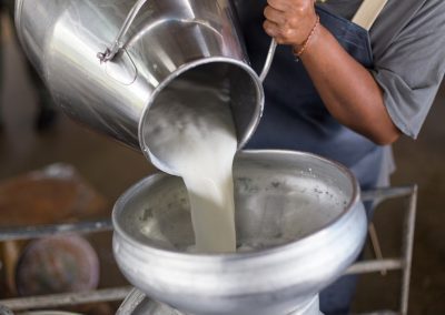 Accordo prezzo latte Lombardia, Rolfi: bene, ma rivederne determinazione – www.lombardianotizie.online