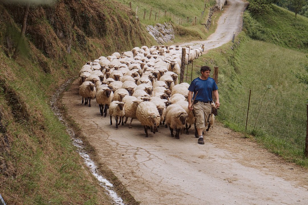 pastoralismo.jpg