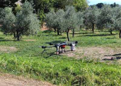Lombardia prima a usare il drone nelle coltivazioni, il test in un uliveto – www.lombardianotizie.online