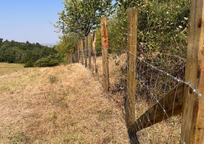Peste suina, una nuova barriera anti cinghiali tra Lombardia e Piemonte – www.lombardianotizie.online