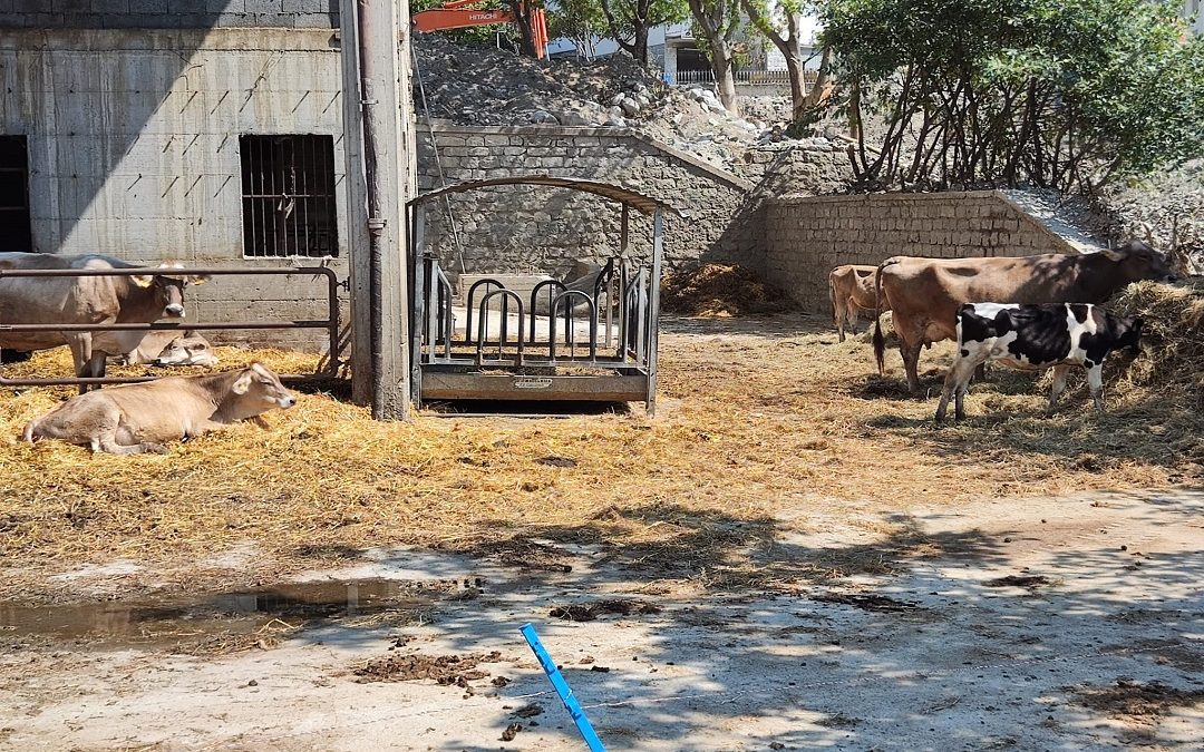 Agricoltura. Chiesto lo stato di calamità per Valcamonica e Oltrepò Pavese – www.lombardianotizie.online