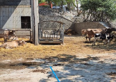 Agricoltura. Chiesto lo stato di calamità per Valcamonica e Oltrepò Pavese – www.lombardianotizie.online