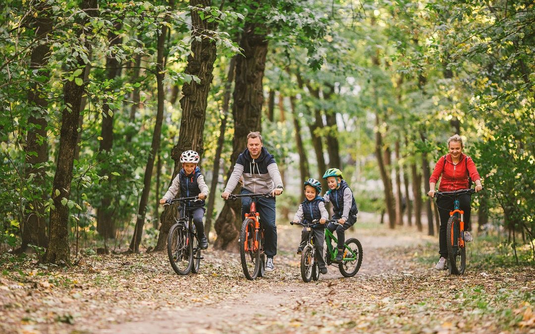 Lombardia, bando per forestazione periurbana. Domande da 27 settembre – www.lombardianotizie.online