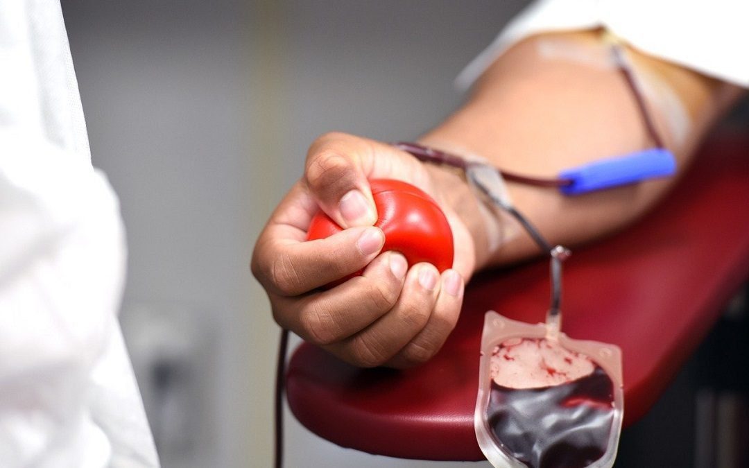 Sangue, impulso a raccolta. La vicepresidente: forte presenza associazioni – www.lombardianotizie.online