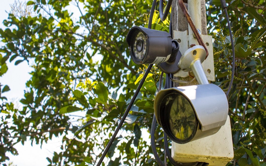 Sicurezza parchi, dalla Regione altri 11,2 milioni per videosorveglianza – www.lombardianotizie.online