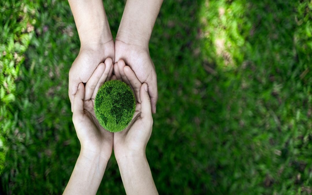 In Lombardia raccolta differenziata al 73%, un modello virtuoso in Europa – www.lombardianotizie.online