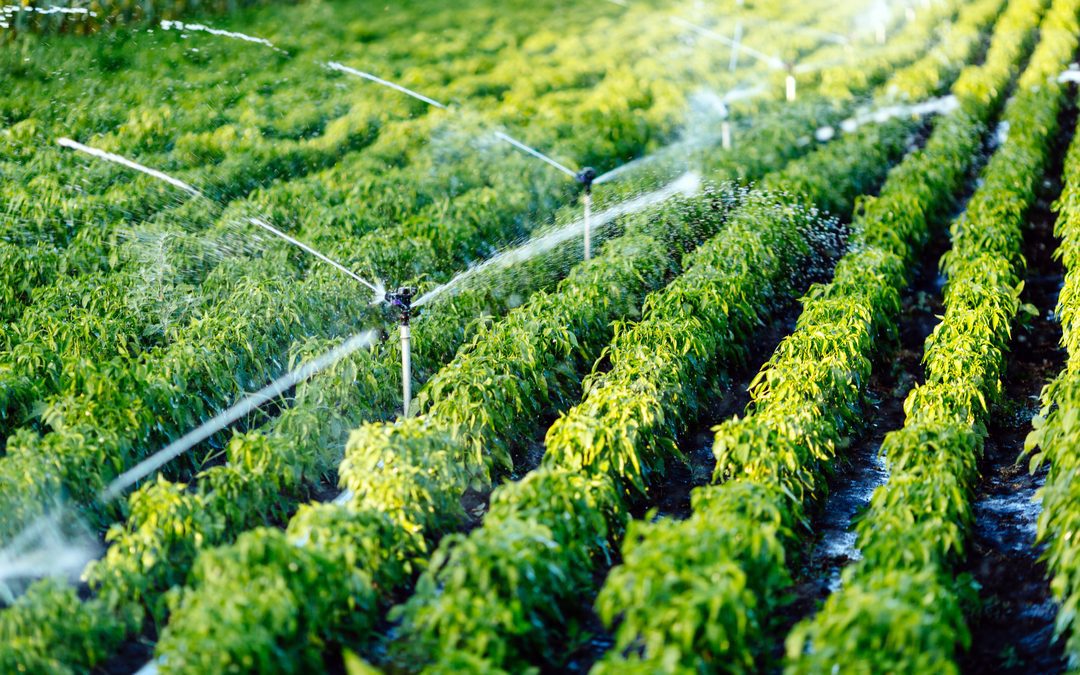 Bene intesa Anbi,A2A, Acque Bresciane su irrigazione – www.lombardianotizie.online