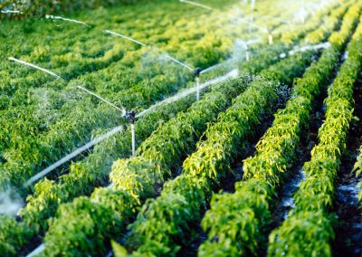 Bene intesa Anbi,A2A, Acque Bresciane su irrigazione – www.lombardianotizie.online