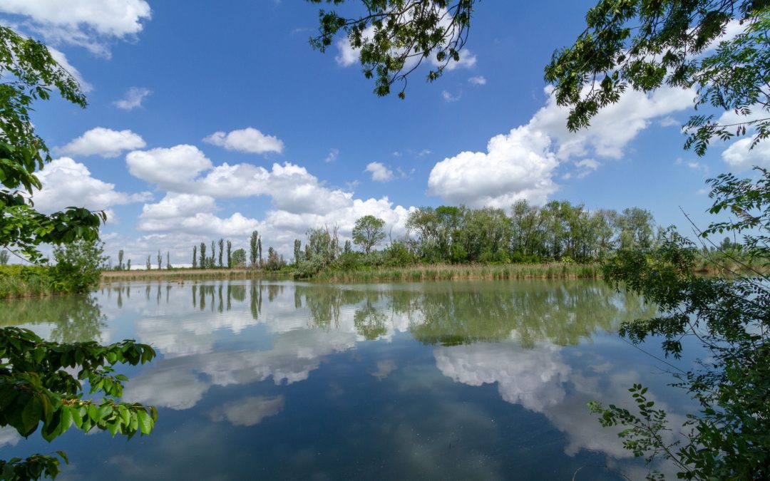 Fiume Po, da Regione 105.000 euro per tutela e monitoraggio bacino idrico – www.lombardianotizie.online