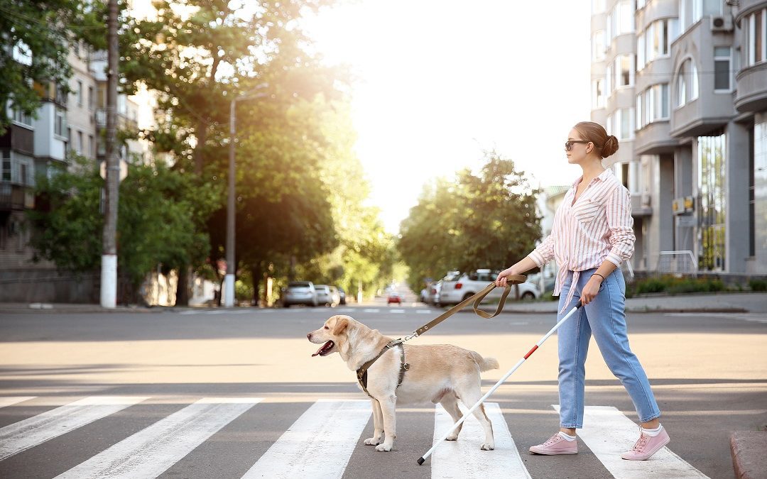 Cani guida per non vedenti, da Regione 150.000 euro per le associazioni – www.lombardianotizie.online