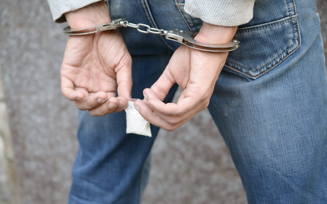 Droga, operazione contro spaccio nei boschi milanesi: plauso di La Russa – www.lombardianotizie.online