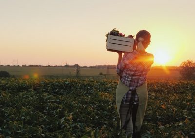 Bene ok del Governo ai voucher in agricoltura – www.lombardianotizie.online
