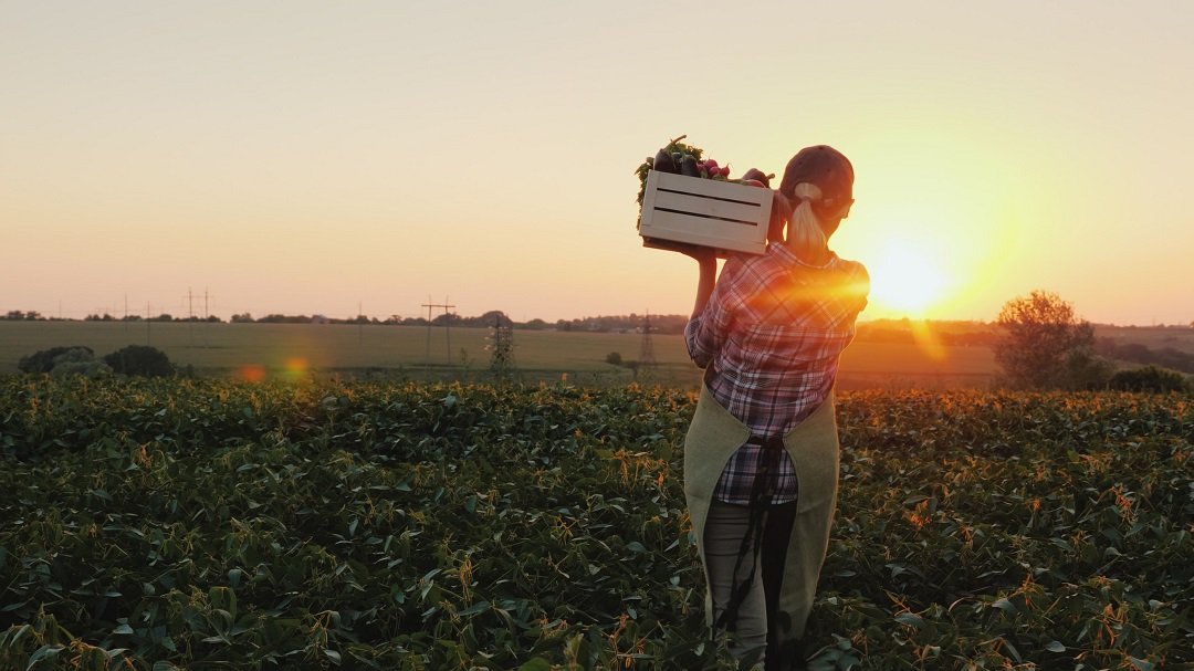 Bene ok del Governo ai voucher in agricoltura – www.lombardianotizie.online