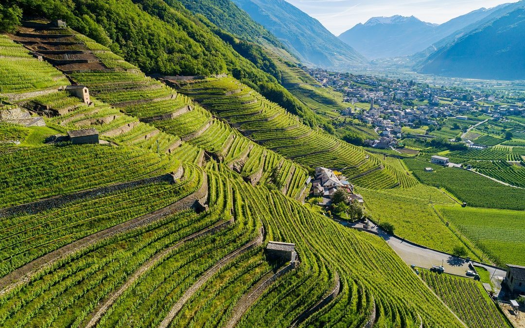 5 milioni a manutenzione straordinaria e recupero terrazzamenti – www.lombardianotizie.online