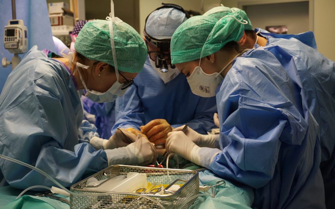 All’Ospedale di Bergamo il primo trapianto di polmone da vivente in Italia – www.lombardianotizie.online