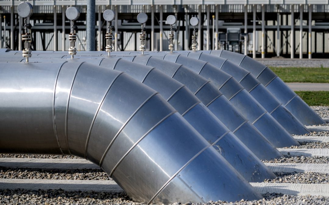 L’UE deve rafforzare il sostegno ai cittadini e alle imprese e all’Ucraina | Attualità – www.europarl.europa.eu