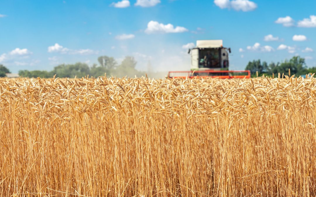 Sicurezza alimentare: necessaria maggiore azione UE | Attualità – www.europarl.europa.eu