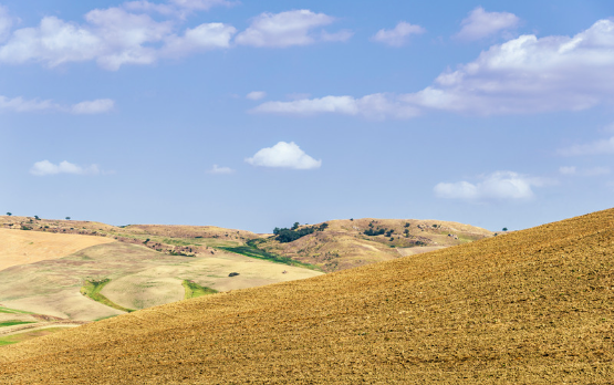 Mafie. Lollobrigida: restituire ad agricoltura terreni confiscati per contrasto desertificazione aree Nazione – www.politicheagricole.it
